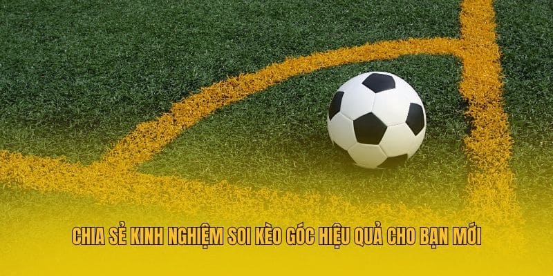 Chia sẻ kinh nghiệm soi kèo góc hiệu quả cho bạn mới